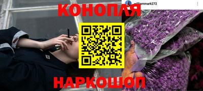 прущие грибы Вязьма