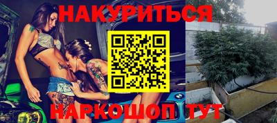 прущие грибы Вязьма