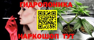 прущие грибы Вязьма